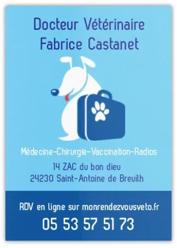La stérilisation de la chatte à Saint-Antoine de Breuilh et Vélines, Saint-Antoine-de-Breuilh, Cabinet vétérinaire du Pays de Montaigne